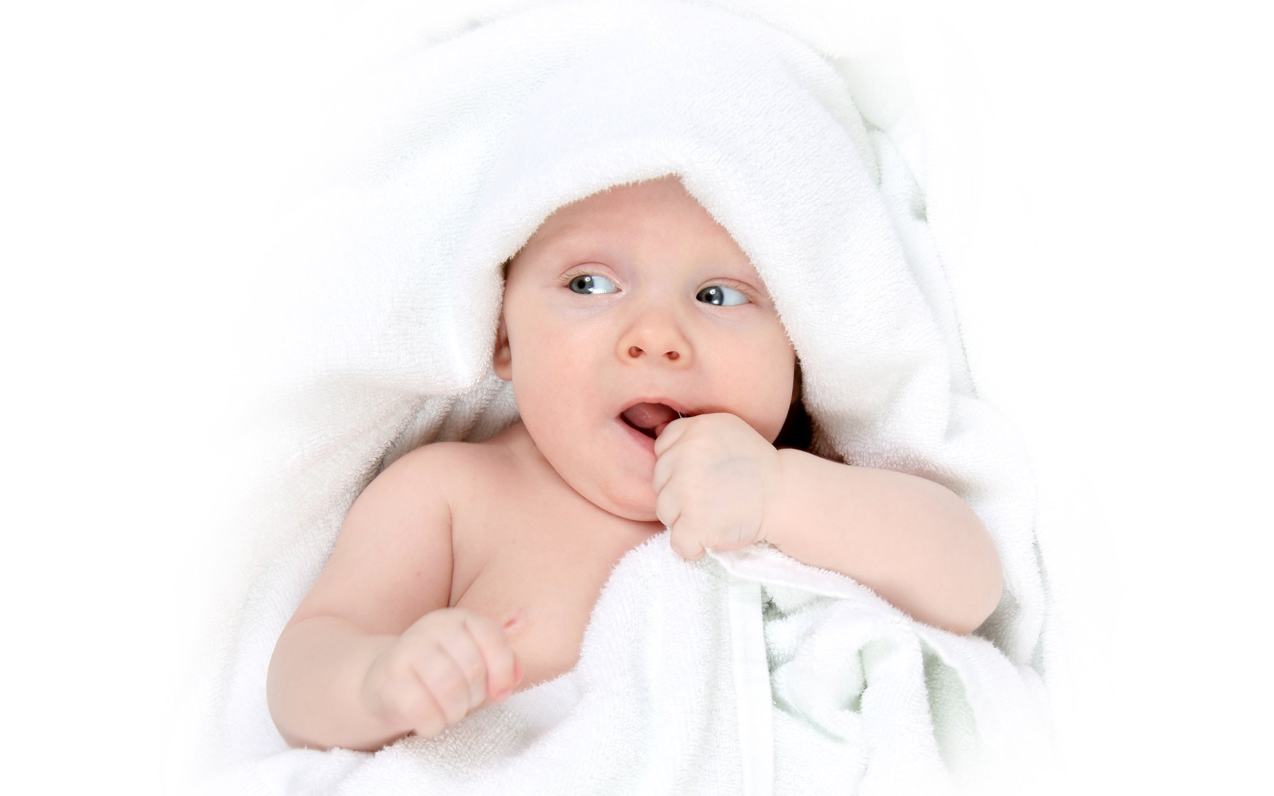 扬州捐卵代怀卵巢早衰做试管婴儿成功率